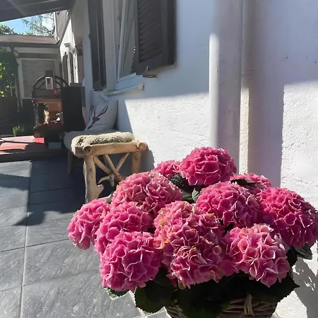 Πανσιόν Gaestehaus Tanneck Mit Hallenbad