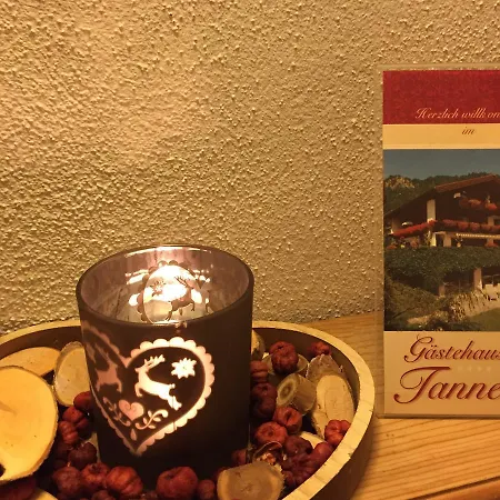 Gasthof Tanneck Reit im Winkl